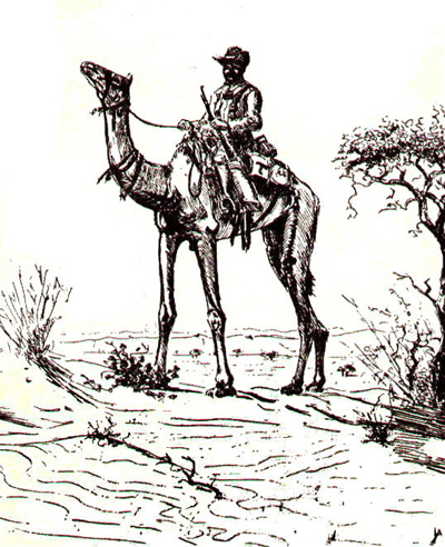 Bild Eines Dromedar von Uli Aschenborn